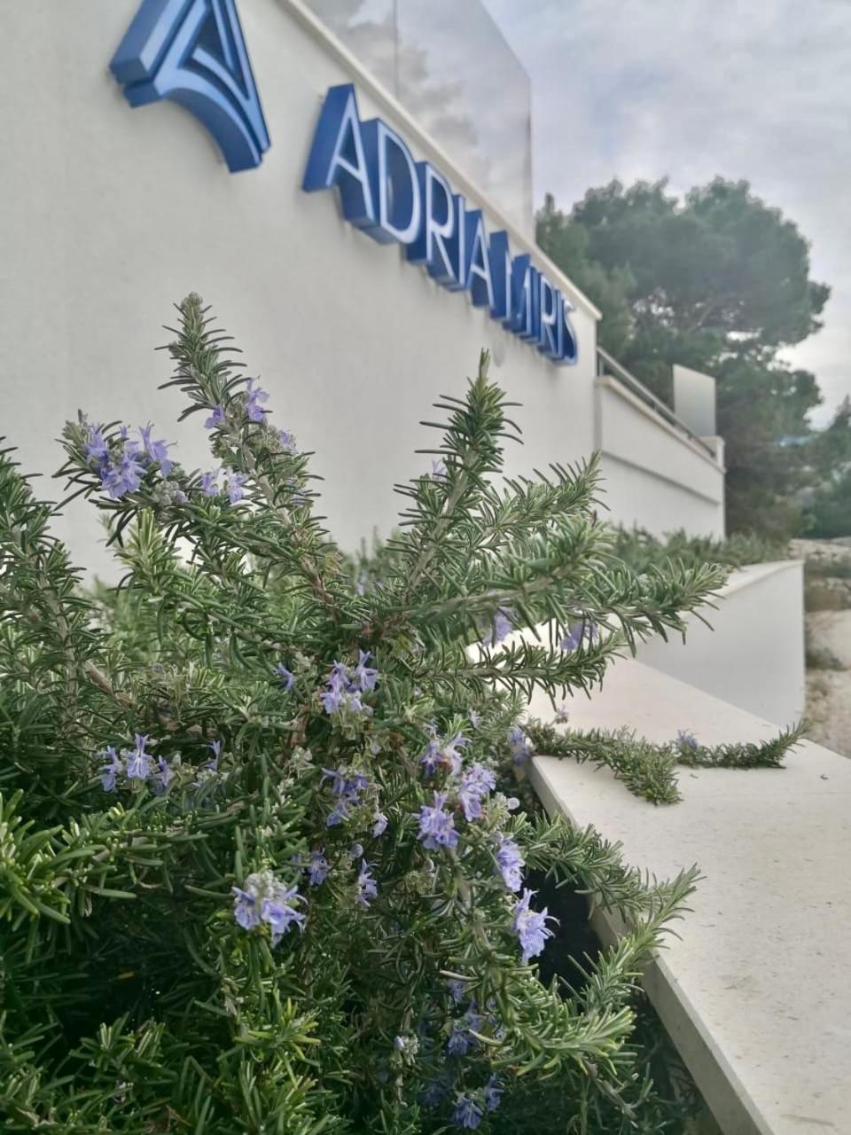 Adria Miris Apartments ドラスニセ エクステリア 写真